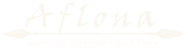 Aflona Africa